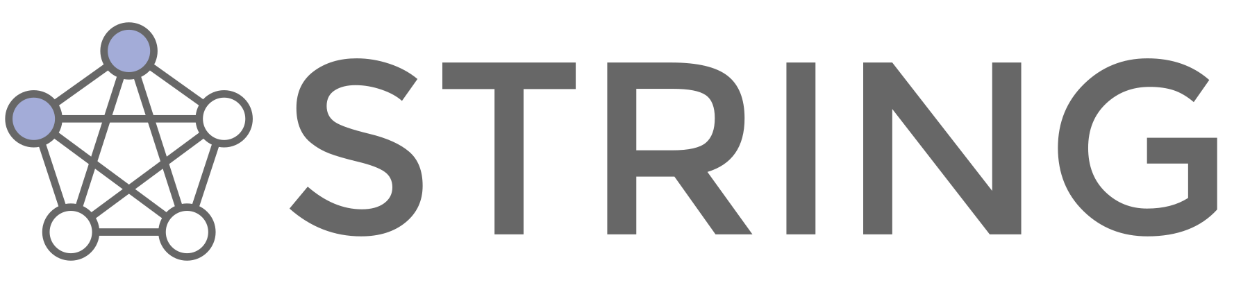STRING logo
